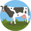Sapi